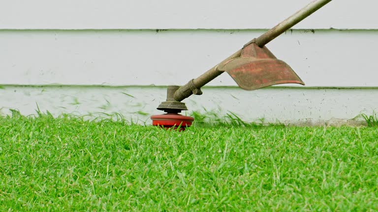 Trusted Astatula, FL Tree Services Experts